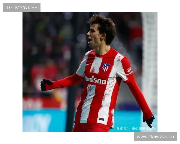 菲利克斯：从新星到争议人物的荣誉与责任解析